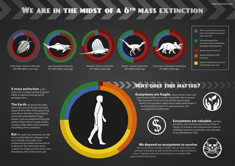 The Sixth Mass Extinction of Species – QR Learning Platform