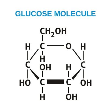 Glucose structural formula — Stock Vector © blumer-1979 #36867107