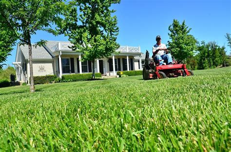 How You can Spot a Good Lawn Care Service - Greenskeeper