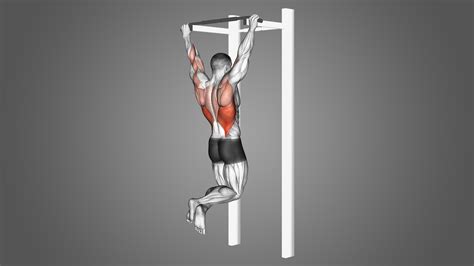 Pull Ups: Benefits, Muscles Worked, and More - Inspire US