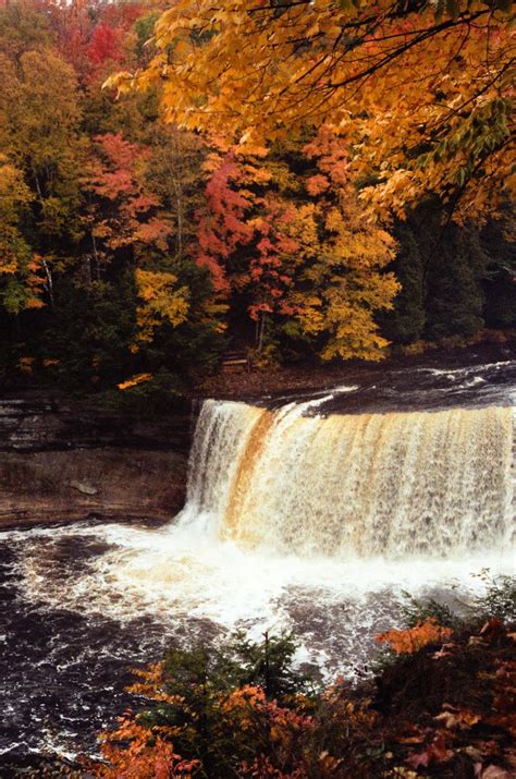 Tahquamenon Falls State Park - Wikipedia | Tahquamenon falls, State parks, Places to travel