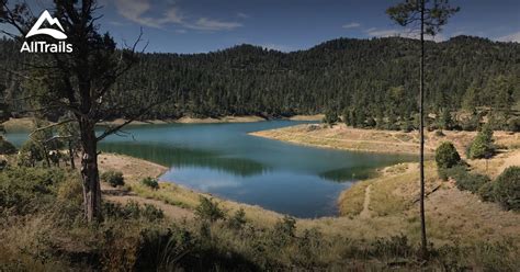 Best Trails in Lincoln National Forest - New Mexico | AllTrails