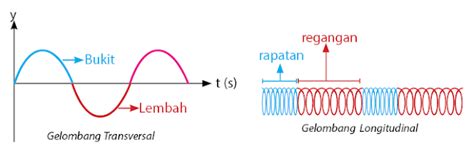 Contoh Gelombang Transversal Dan Longitudinal Beserta Penjelasan ...