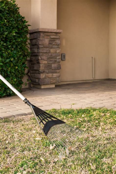 Removing Lawn Thatch | HGTV