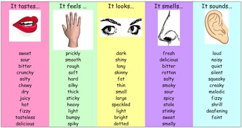 What does it feel / look / sound / taste / smell like? | Adjectives, Vocabulary word walls, Senses