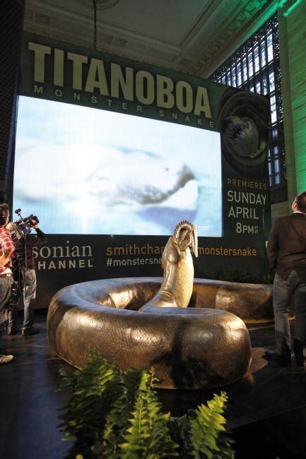 Titanoboa: Monster Snake Premieres at the National Museum of Natural ...