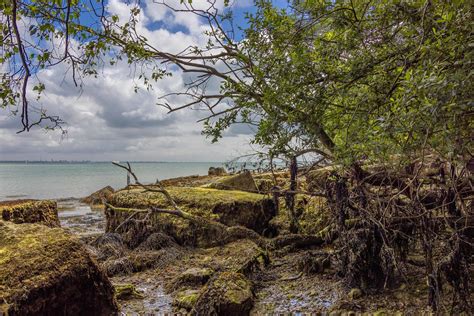 Fishbourne beach | The end of the beach at Fishbourne Isle o… | Peter Shergold | Flickr