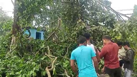 Kalboisakhi: কালবৈশাখীর তাণ্ডবে নিহত ৪, আহত শতাধিক; উদ্বেগ প্রকাশ মুখ্যমন্ত্রীর - Bengali News ...