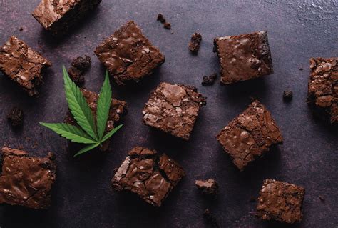 Edibles 101 - Leaf Nation