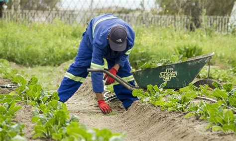 We All Have the Right to Food Grown Without Toxic Pesticides – Food Tank