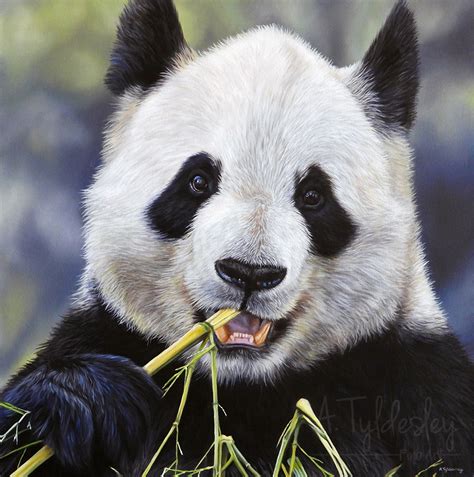 How to Paint an Amazing Panda in Oils - Studio Wildlife