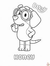 Join The Fun With Bluey Coloring Pages  GBcoloring sketch template