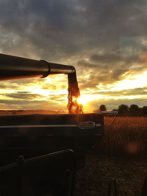 sunset | Farm photography, Farm life, Farm photo