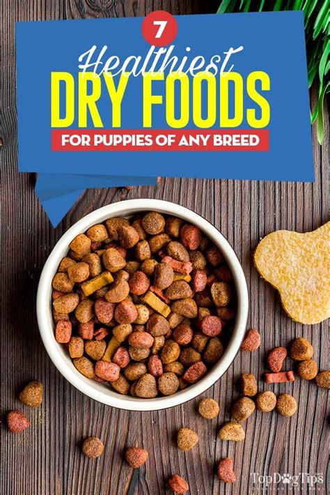 The 7 Best Dry Foods for Puppies | Dog food recipes, Food, Best dog food