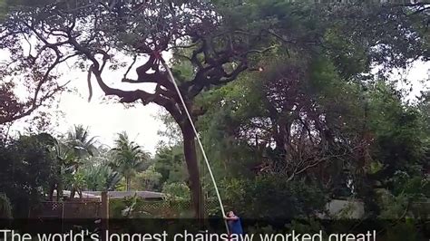 DIY World's Longest Electric Pole Chainsaw for Tree Trimming - YouTube