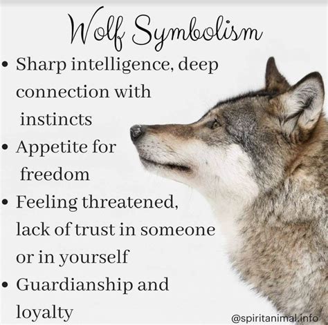 Pin by Chrissy Yitzhary on Full moon lovers | Wolf spirit animal, Wolf ...