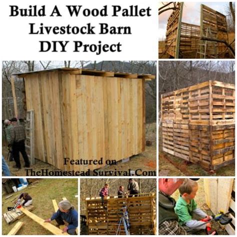 The Building of a Wood Pallet Goat Barn DIY Project - The Homestead Survival | Pallet barn, Goat ...