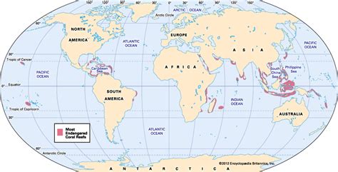 Coral Reefs Around The World Map