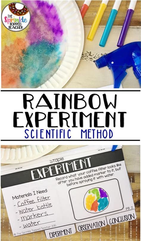 Scientific Method Experiment Ideas | Examples and Forms