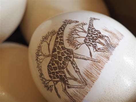 Scrimshaw ostrich eggs, or just plain ostrich eggs - we have them. | Scrimshaw, Art decor, Handcraft