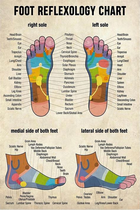 Female Foot Reflexology Chart | ubicaciondepersonas.cdmx.gob.mx