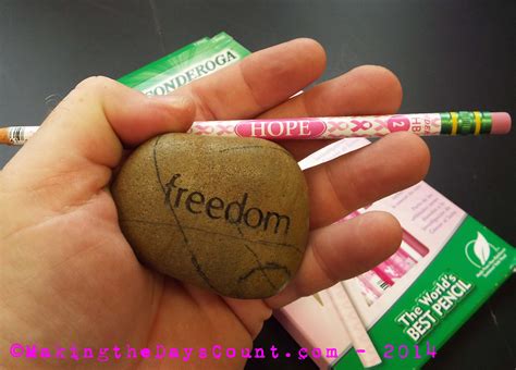 Think PINK – Freedom Rock | Making the Days Count