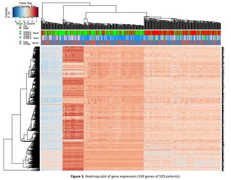 Gene Regulatory Network Analysis – Ancheng's Playground