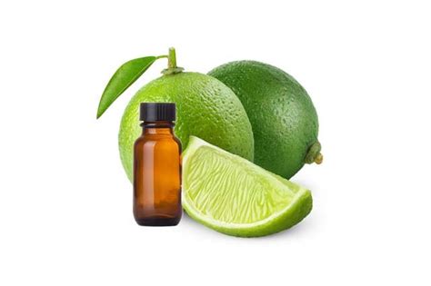 Lime Essential Oil - US FDA / Kosher / Halal Certified / ISO 22000:2018 ...