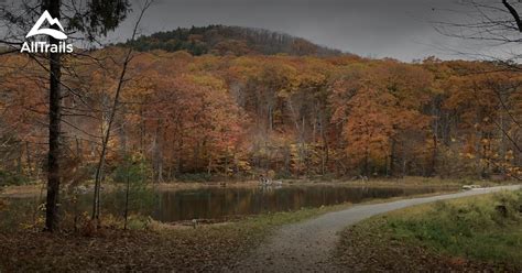 10 Best hikes and trails in Wachusett Mountain State Reservation | AllTrails