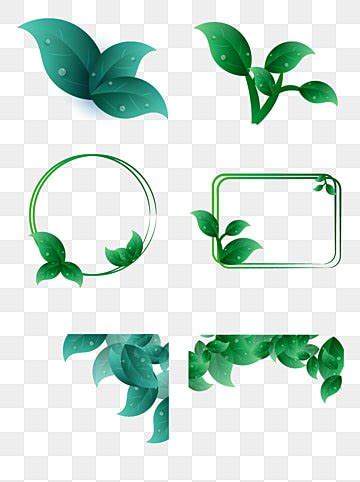 Daun Vector Art PNG Images | Free Download On Pngtree