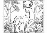 Deer Stand Coloring Page Pages sketch template