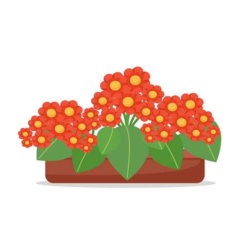 Red flowers in a pot, houseplants, cute flowers, vector illustration in flat style, cartoon ...