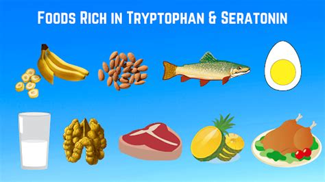 Tryptophan: Benefits, Side Effects and 7 Foods – Tense Health