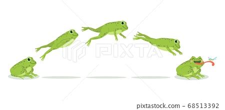 Frog jump. Various frog jumping animation... - Stock Illustration [68513392] - PIXTA