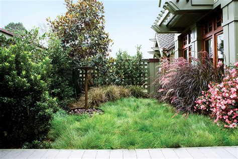 Plant a No-Mow Lawn - Sunset Magazine