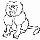 35 Free Monkey Coloring Pages Printable sketch template