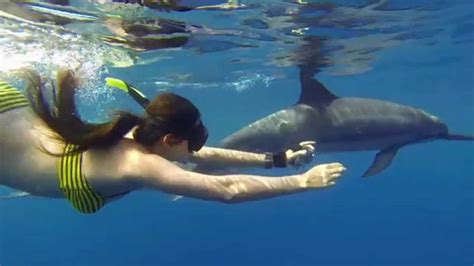 Swimming with wild dolphins - Kona, Hawaii - YouTube