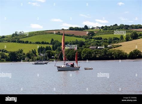 red sailed drifter boat on river dart,stoke gabriel,mill pond,devon ...