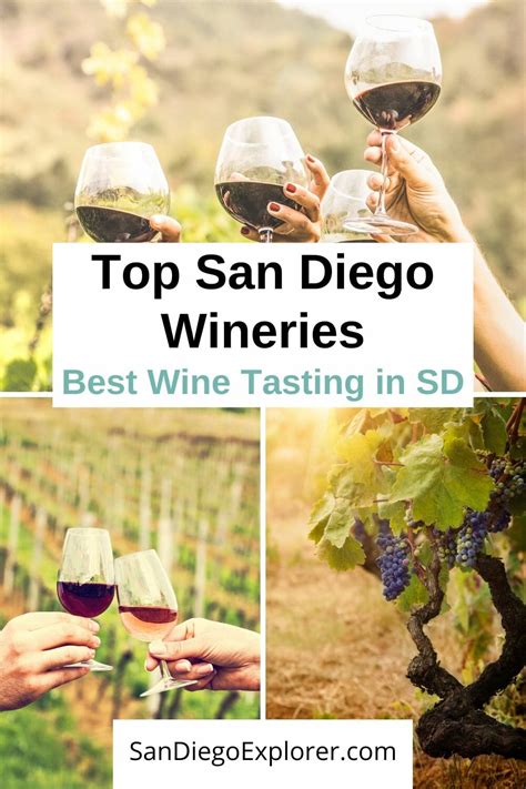 10 Best San Diego Wineries You MUST Try If You Love Wine