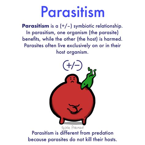 Parasitism — Definition and Examples - Expii