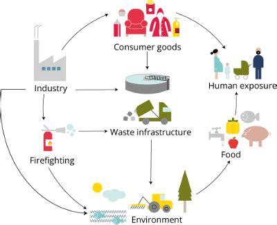 Why do persistent organic pollutants matter? | UNEP - UN Environment Programme