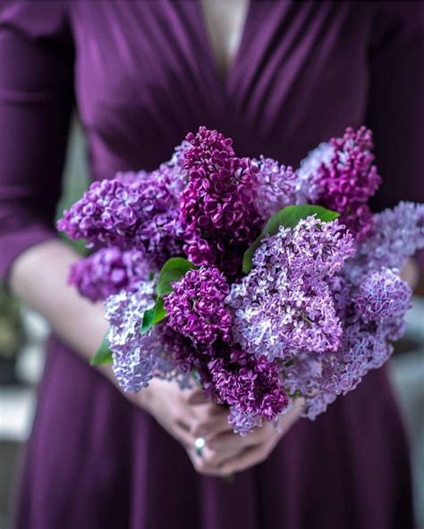 Joyful Puttering | Lilac flowers, Purple wedding bouquets, Lilac