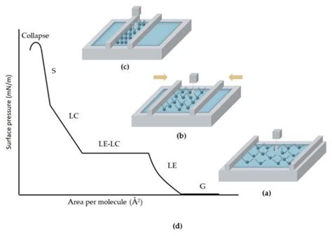 A schematic representation of the Langmuir monolayer formation process.... | Download Scientific ...