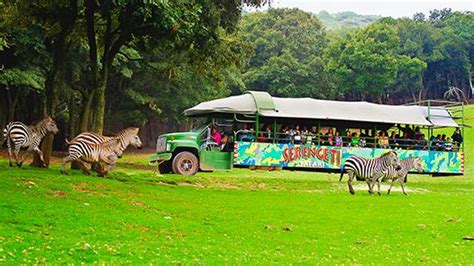 Cuánto tiempo dura el recorrido en Bioparque Estrella