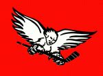 Carolina Thunderbirds hockey team [ACHL] statistics and history at ...