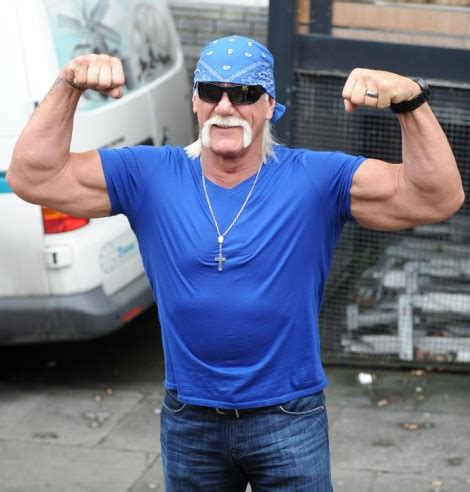 Hulk Hogan And Heather Clem Sex Tape Leaked Online, Are You Ready ...