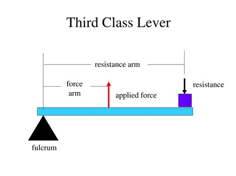 Lever Force Formula at Edith Willis blog