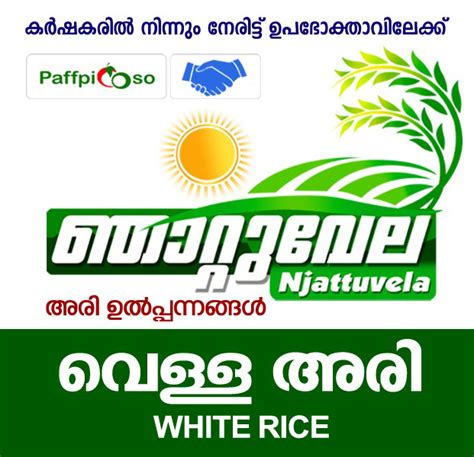 Organic White Rice | Ecosustain