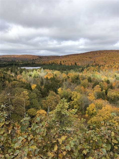 Fall Colors in Minnesota - four places to explore and how to find peak color