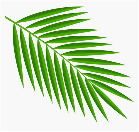 Green Palm Leaves Png Clipart Palm Leaf Clipart Png Transparent Png ...